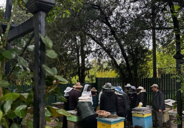 att.Nc_uPg6YeviBDAnwFEyvJmZXC-x8U-KZqSTKtyPpiqQ